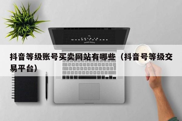 抖音等级账号买卖网站有哪些（抖音号等级交易平台）(图1)